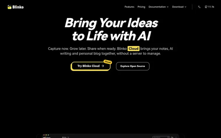 Screenshot of the Blinko homepage